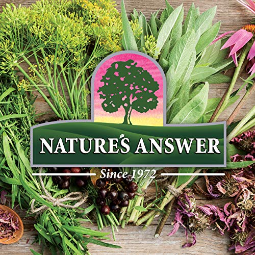 Nature's Answer Periobrite Winter Mint Mouthwash | Promotes Healthy Teeth & Gums| Fights Bad Breath | Fluoride-Free, Alcohol-Free, Gluten-Free & Vegan| No Artificial Preservatives 16oz